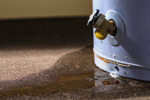 Best Water damage restoration process  in Beacon Square, FL