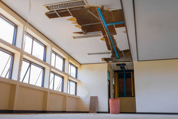 Best Flooded house restoration  in Beacon Square, FL