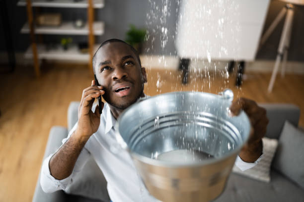Best Flood damage cleanup  in Beacon Square, FL