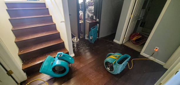 Best Flood damage cleanup  in Beacon Square, FL