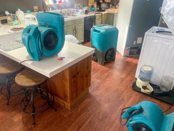 Carpet water damage restoration in FL