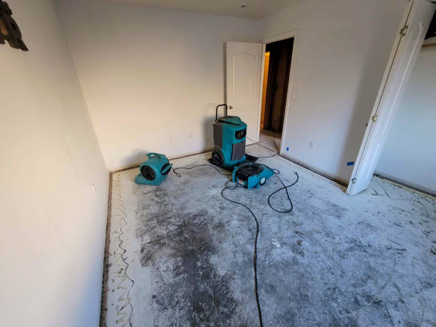 Best Water damage restoration specialists  in Beacon Square, FL
