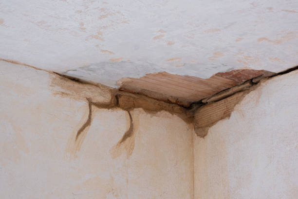 Best 24-hour water damage restoration  in Beacon Square, FL