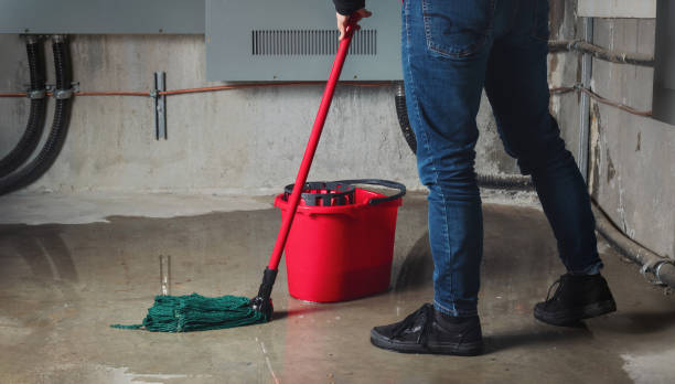 Best 24-hour water damage restoration  in Beacon Square, FL