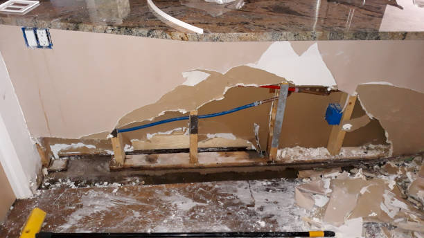 Best Water damage restoration near me  in Beacon Square, FL