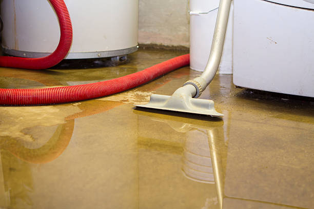 Best Carpet water damage restoration  in Beacon Square, FL