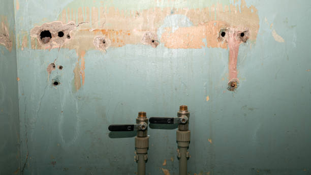 Water damage restoration process in FL