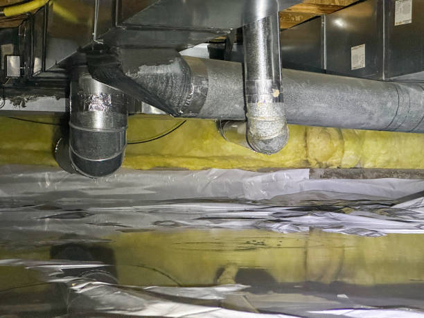 Best Local water damage restoration  in Beacon Square, FL