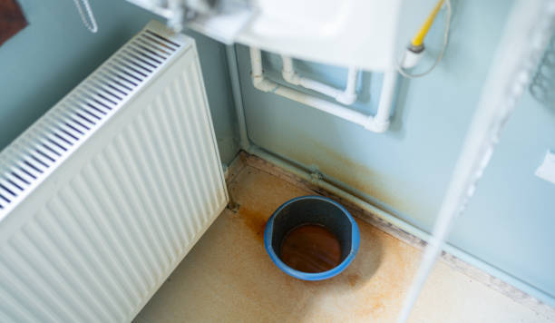 Best Carpet water damage restoration  in Beacon Square, FL