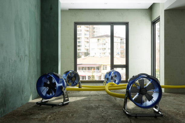 Best Professional water damage repair  in Beacon Square, FL